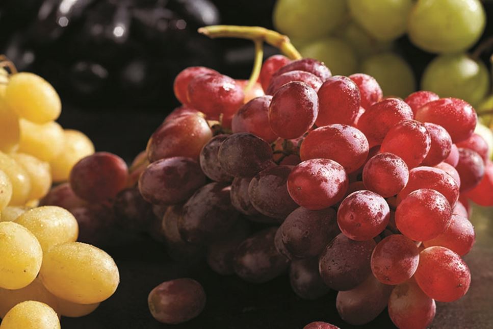 bunches of grapes