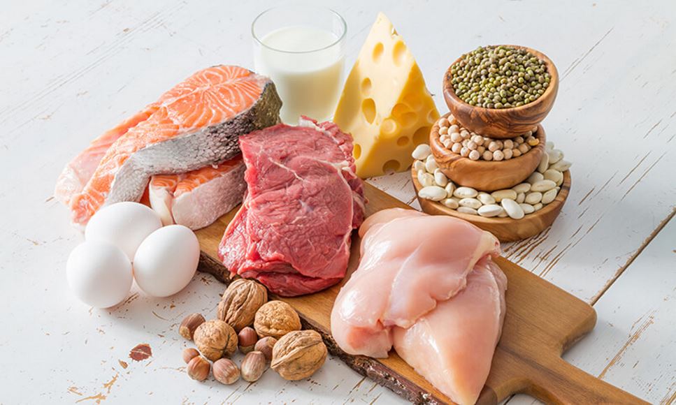 food sources of protein