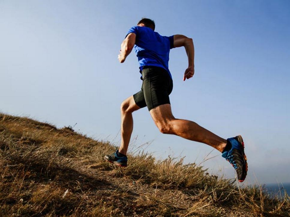 Vitamin Needs of Athletes
